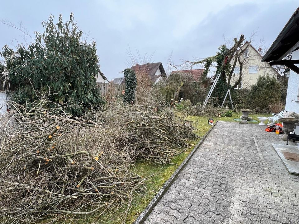 Gartenpflege / Grundstückspflege / Baumverschnitt / Rodung in Moosburg a.d. Isar