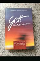 Buch " Gott und die Welt " Niedersachsen - Damme Vorschau