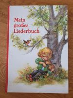 Mein großes Liederbuch Volks-und Kinderlieder Buch Dresden - Innere Neustadt Vorschau