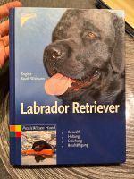 Labrador Retriever Buch Bayern - Sonnefeld Vorschau