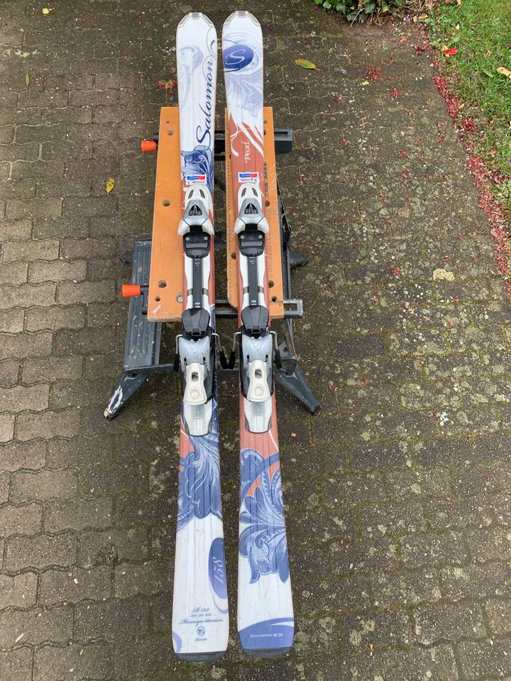 Carving Ski Salomon Pearl 158 in Schenefeld (Kreis Steinburg)