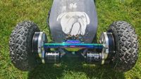 Electric Mountainboard EMTB Trampa E-TOXX Maxi Gear drive bundle Freiburg im Breisgau - Hinterzarten Vorschau