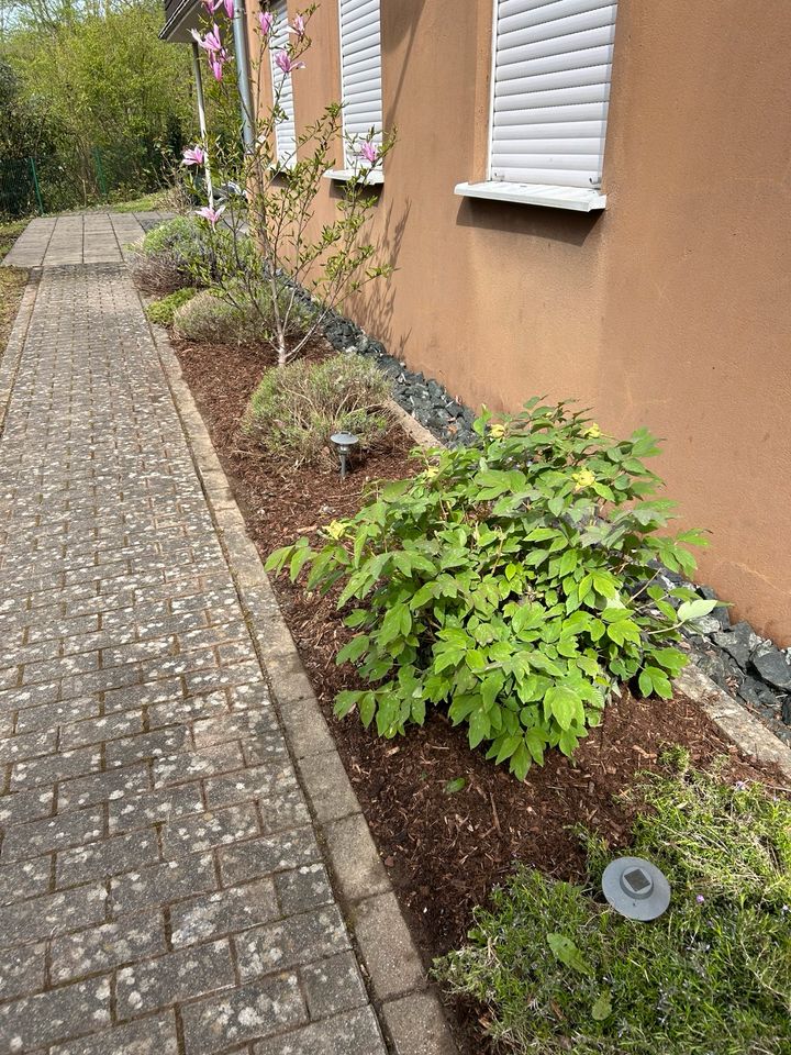Gartenbau und Grünflächenpflege Zu fairen Preisen vom Fachmann in Siegen