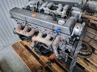 300D 4x4 Motor fur Teilen Mercedes om603.913 4-Matic Nordrhein-Westfalen - Straelen Vorschau