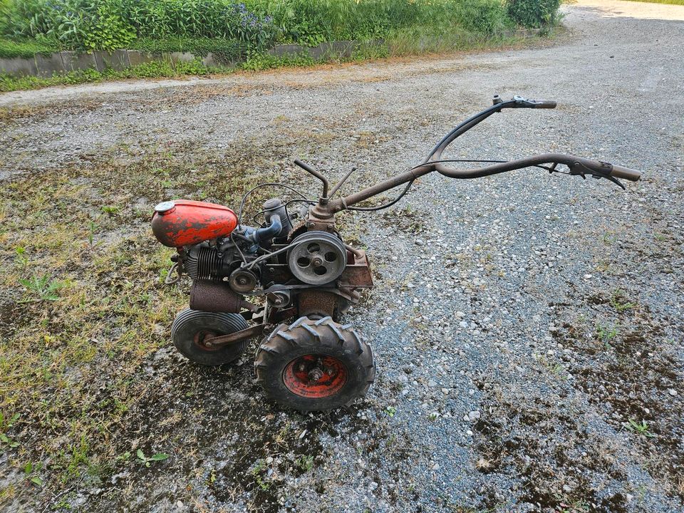 Hakorette Gartenfräse Ilo Motorpflug Einachser in Hannover