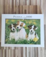 1000 Puzzle Jack Russel Welpen Neu Sachsen - Chemnitz Vorschau