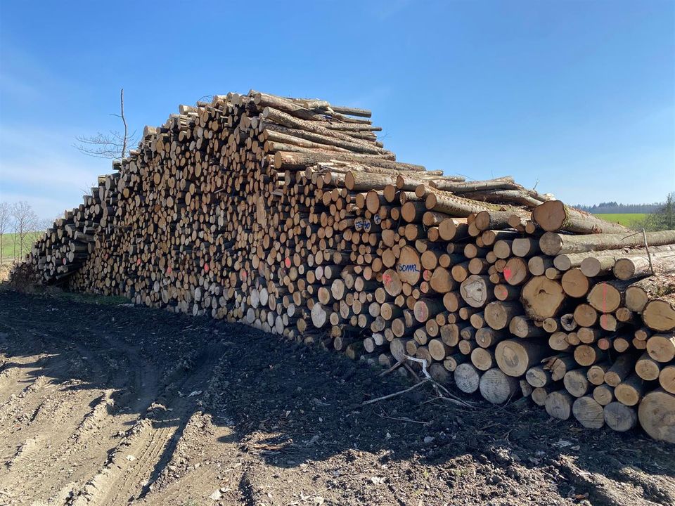 ☘️ Buche/Esche Laubholz Stammholz Brennholz Raum Zwickau in Schleiz