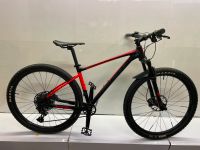 ‼️ GIANT Fathom Mountainbike Hardtail 29 Zoll Fahrrad Rock Shox Niedersachsen - Wunstorf Vorschau