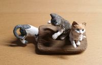 Schleich Katzenbabys13674 für 4€ Nordrhein-Westfalen - Lüdinghausen Vorschau