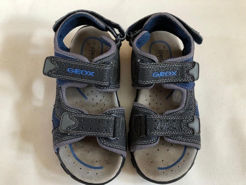 Geox Sandalen Gr. 31 in Dorsten