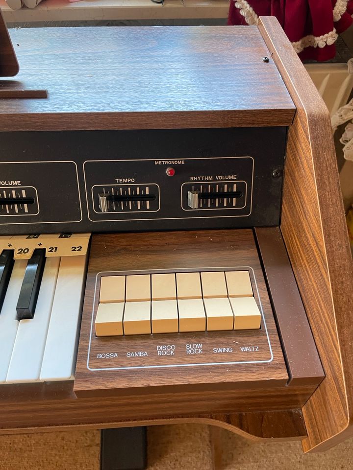 Bontempi Heimorgel B 340-2, Orgel, elektrisches Klavier in Bad Rappenau