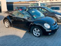Volkswagen Beetle 1.4 Cabriolet Klima 1.Hand TÜV NEU Rheinland-Pfalz - Bad Kreuznach Vorschau