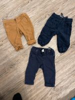 3x Hosen Chino Cord blau, braun Gr. 68 H&M, topomini Niedersachsen - Buxtehude Vorschau