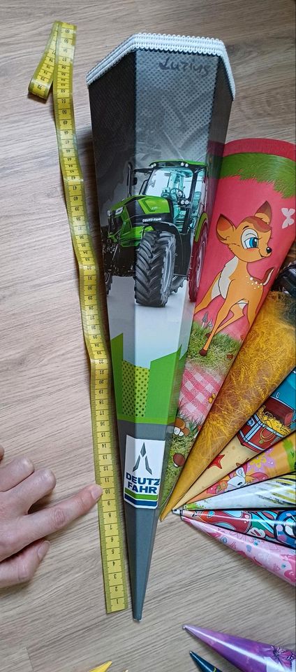 Zuckertüten Schultüten 50, 40, 25, 20, 15, 12 cm ab 50 Cent gebr. in Bad Sulza