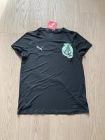 Puma Run your City Hamburg Shirt S NEU mit Etikett Hamburg - Hamburg-Nord Vorschau