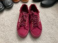 SUPERGA, weinrote Halbschuhe, Größe 42 Dortmund - Innenstadt-West Vorschau