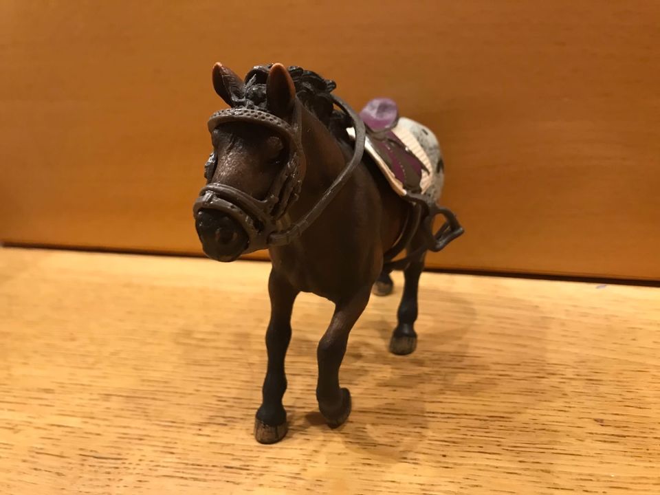 Schleich Appaloosa Hengst mit Sattel u Decke in Köln