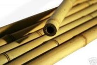 10 Stück Bambus- Stangen Rohre 295 cm lang 6-8 cm inkl Versand Hude (Oldenburg) - Nordenholz Vorschau
