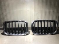 BMW X5 E70 Kühlergrill Gitter silbern  7171395 + 7171396 Nordrhein-Westfalen - Nettetal Vorschau