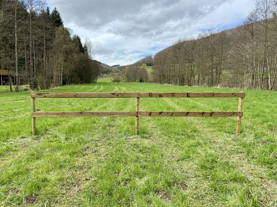 Pferdezaun Weidezaun Koppelzaun Plankenzaun Holzzaun - 1000m SET in Olsberg