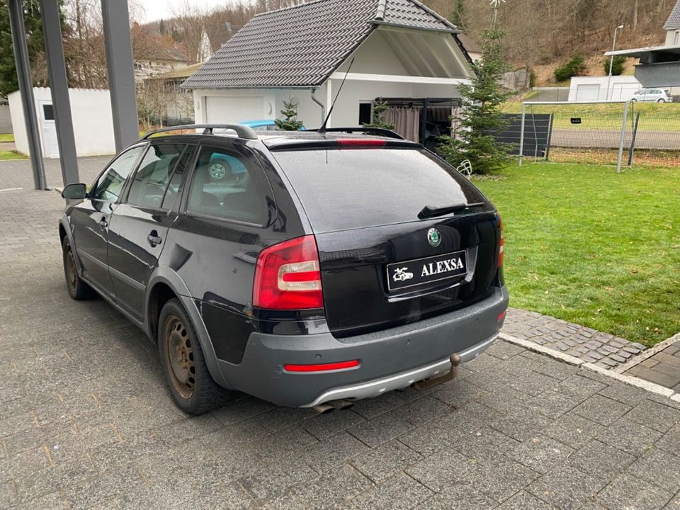 Skoda Octavia Combi 2.0 TDI PD DPF 4x4 Scout 1.HAND SH in Albstadt