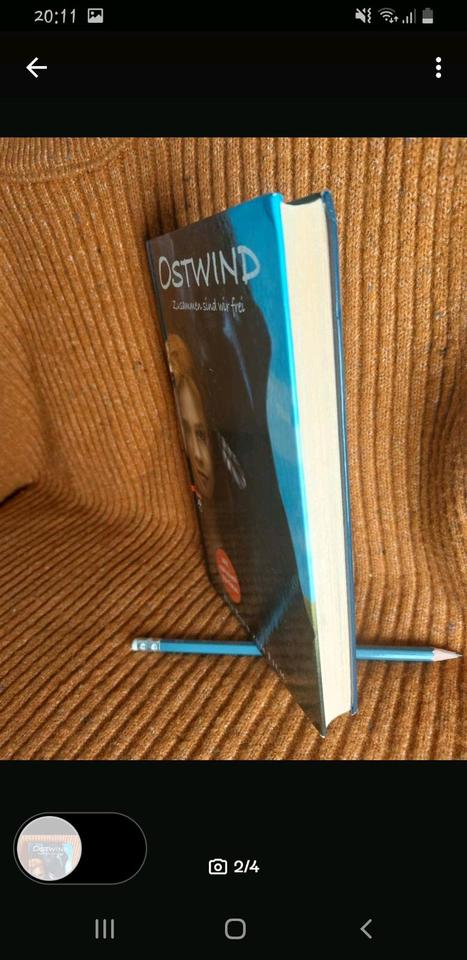 Ostwind, zusammen sind wir frei, Carola Wimmer, Pferdebuch Buch in Wettenberg