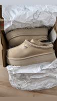 UGG Tazz Mustard Seed Neu Berlin - Mitte Vorschau