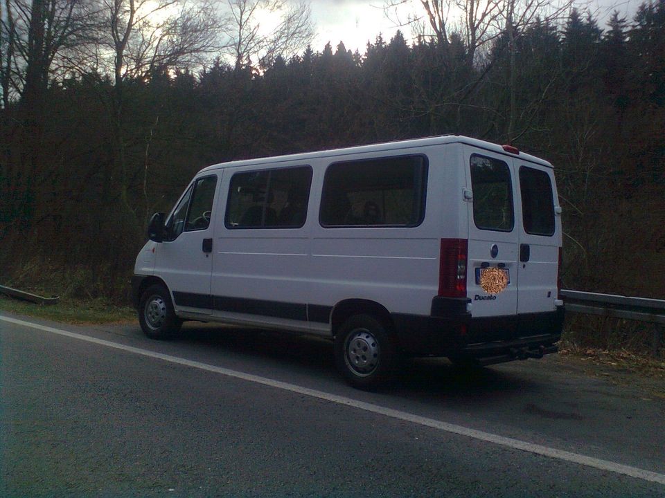 Fiat  Ducato / 6 Sitzer mit Laderaum in Detmold