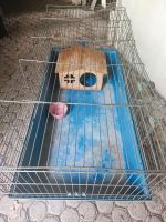 Käfig für Kaninchen, Meerschweinchen, Hamster Rheinland-Pfalz - Lahnstein Vorschau
