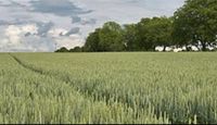 Acker, Wiese oder Wald zum Pachten oder kaufen gesucht Landwirt Bayern - Burgoberbach Vorschau