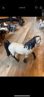 Schleich Tennesse Walker Hengst zum Verkauf Hessen - Bad König Vorschau