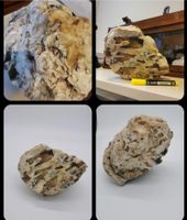Großer Opal roh Stein minerslstein 9kg Nordrhein-Westfalen - Lünen Vorschau