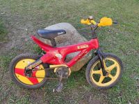 KOMIX Zing Thing Kinderfahrrad 16 Zoll Jungenfahrrad Rot RH 25cm Dresden - Blasewitz Vorschau