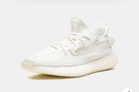 Adidas Yeezy Boost 350 v2 Bone ( 38 ) Neu ! Bremen - Blumenthal Vorschau