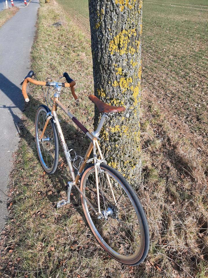 Salsa Casseroll Randonneur Gravelbike Stahlrenner in Mettmann