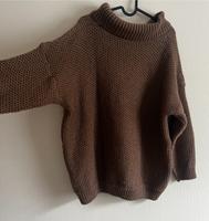 Brauner Strickpullover Nordrhein-Westfalen - Bad Berleburg Vorschau
