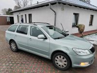 Skoda Octavia 11 2009 mit TÜV  149.000 keine bekannten Mängel Brandenburg - Bernau Vorschau