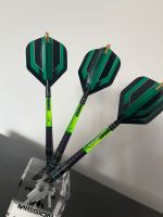 Target Alx10 20g Softdarts Bayern - Schweinfurt Vorschau