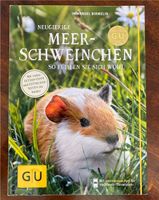 Neugierige Meerschweinchen (Sachbuch) Hamburg-Mitte - Hamburg Hamm Vorschau