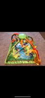 Spielbogen von Fisher Price Nordrhein-Westfalen - Remscheid Vorschau