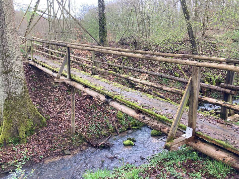 Jagdkanzel mit Jägersteg in Bad Vilbel