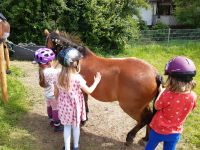 Reiten für die Kleinsten Hessen - Lautertal Vorschau