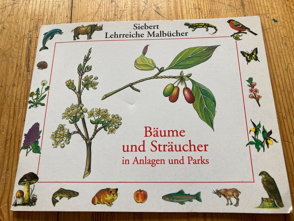 Malbuch: Bäume und Sträucher in Karlsruhe