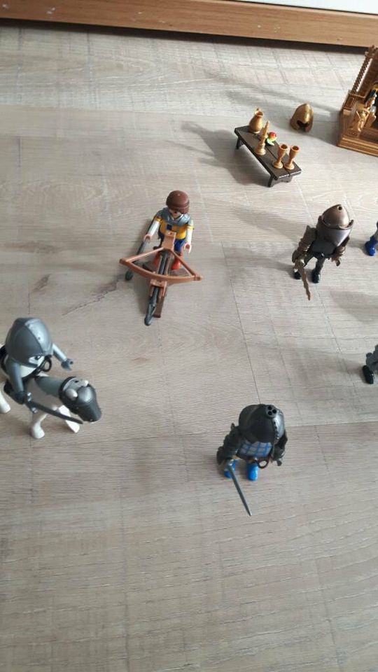 Playmobil Ritter Sammlung in Elmshorn