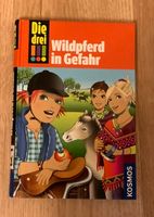 Die drei !!! - Wildpferd in Gefahr Nordrhein-Westfalen - Düren Vorschau