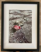 Kunstphotographie   „Verlassene Rose“ Niedersachsen - Garbsen Vorschau