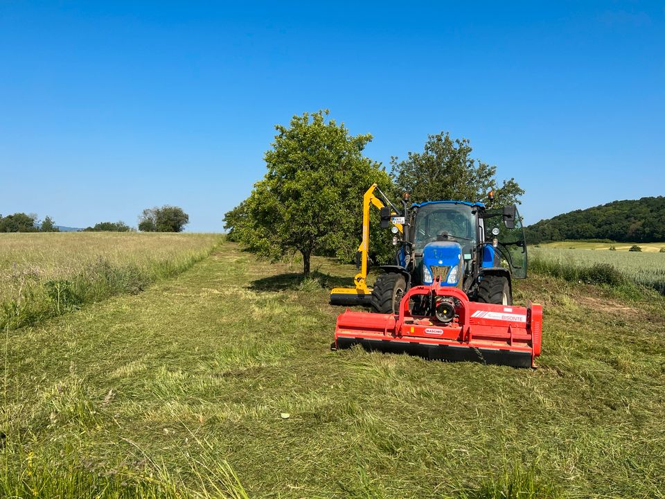 Mulcharbeiten Wegerandpflege Gewässerpflege Mulchen Wildschäden in Oberelbert