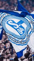2 Steher für Schalke Düsseldorf Nordrhein-Westfalen - Neuenkirchen Vorschau