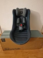 Qeridoo Babyschale ☆NEU☆ Fahrradanhänger Hängematte Sitz Niedersachsen - Hoya Vorschau