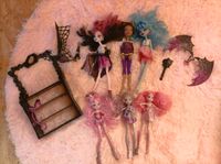 2 Monster High Puppen mit Zubehör Brandenburg - Zollchow Vorschau